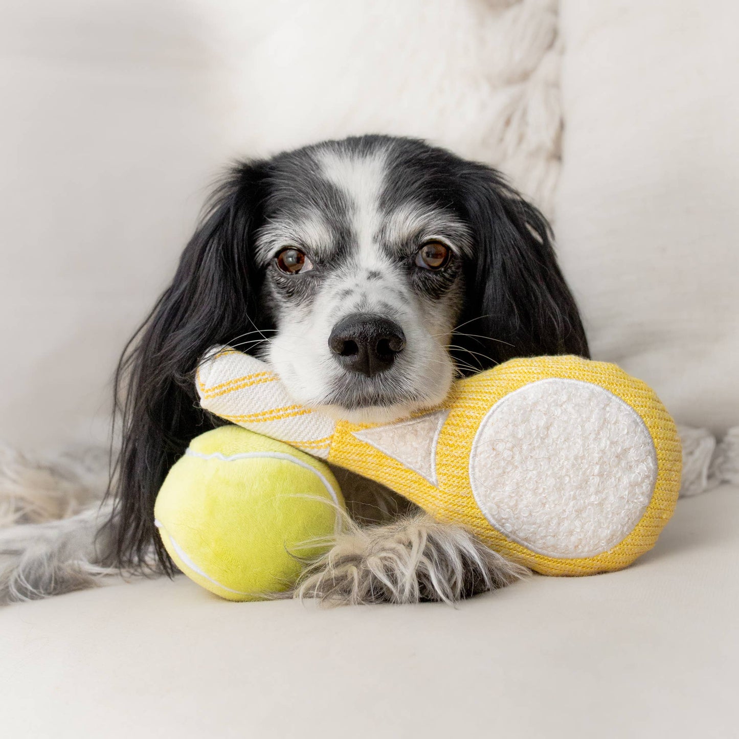 Balle et raquette de tenis