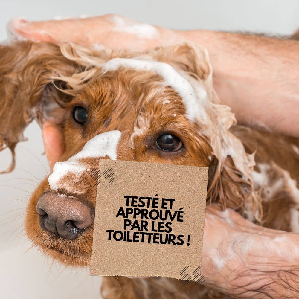 Shampoing hypoallergénique