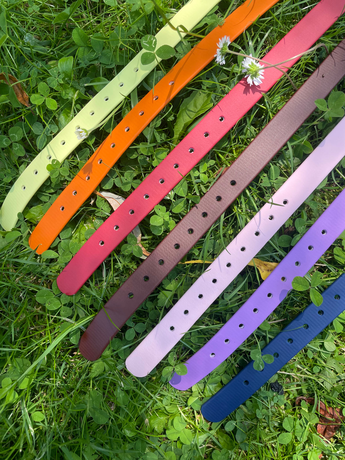 Collier en Biothane