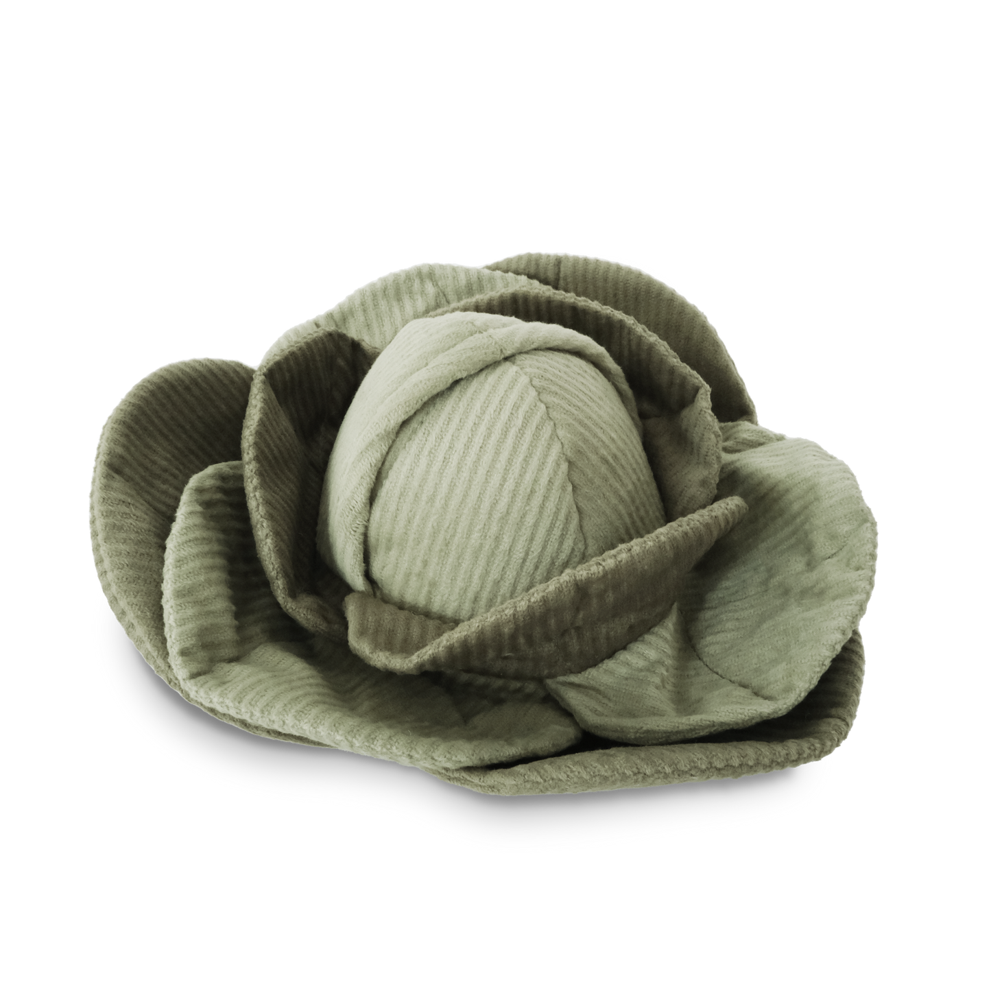 Le chou d'enrichissement