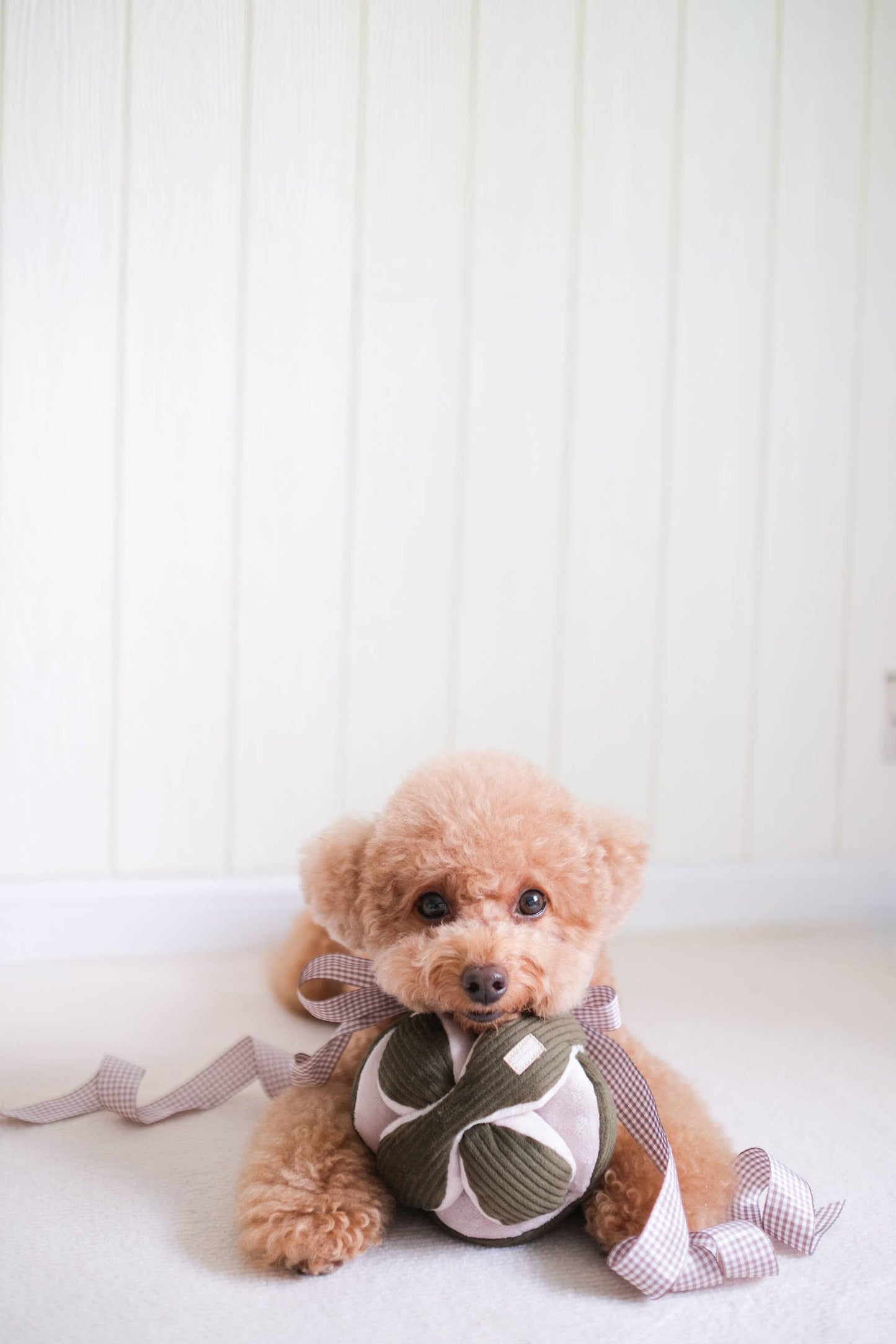 La boule d'enrichissement