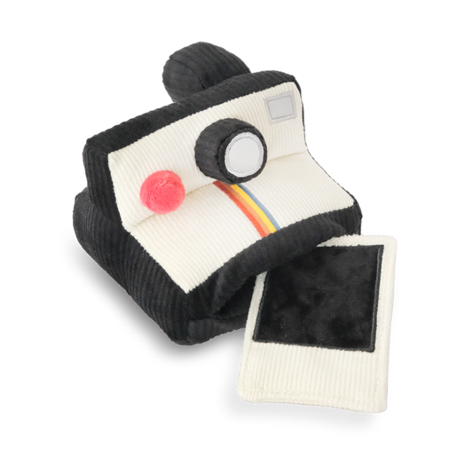 APPAREIL PHOTO INSTANTANÉ