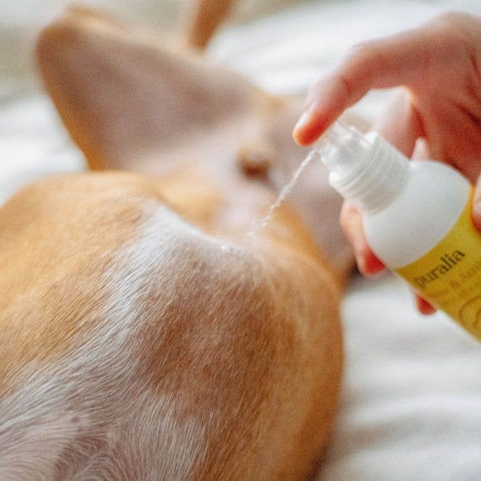 Lotion nettoyante et réparatrice