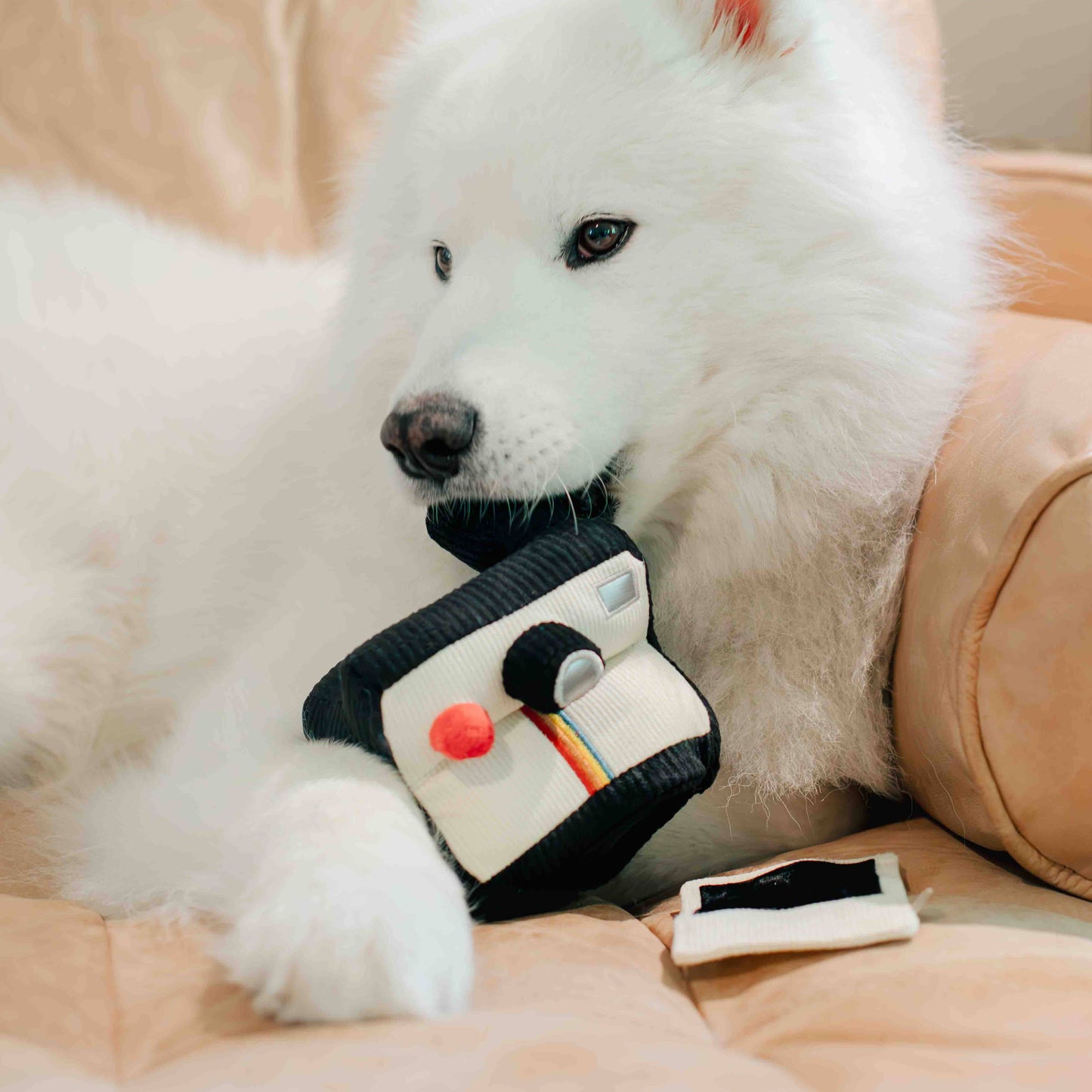 APPAREIL PHOTO INSTANTANÉ