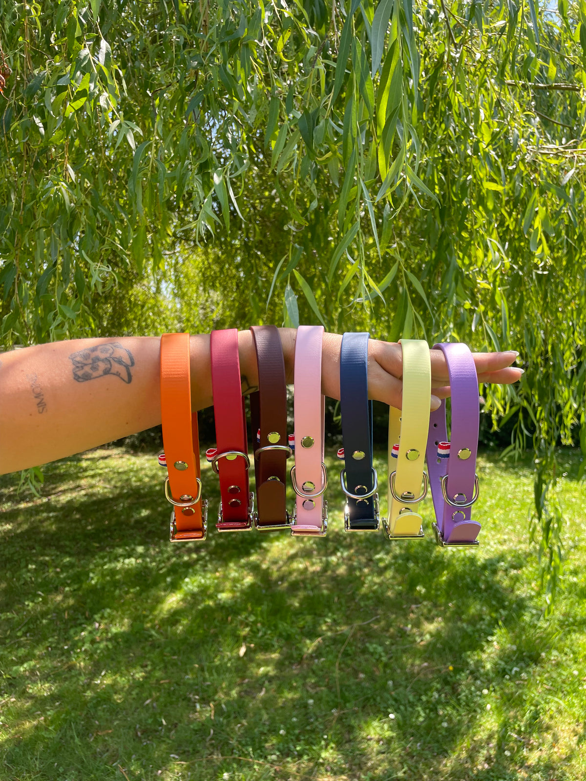 Collier en Biothane
