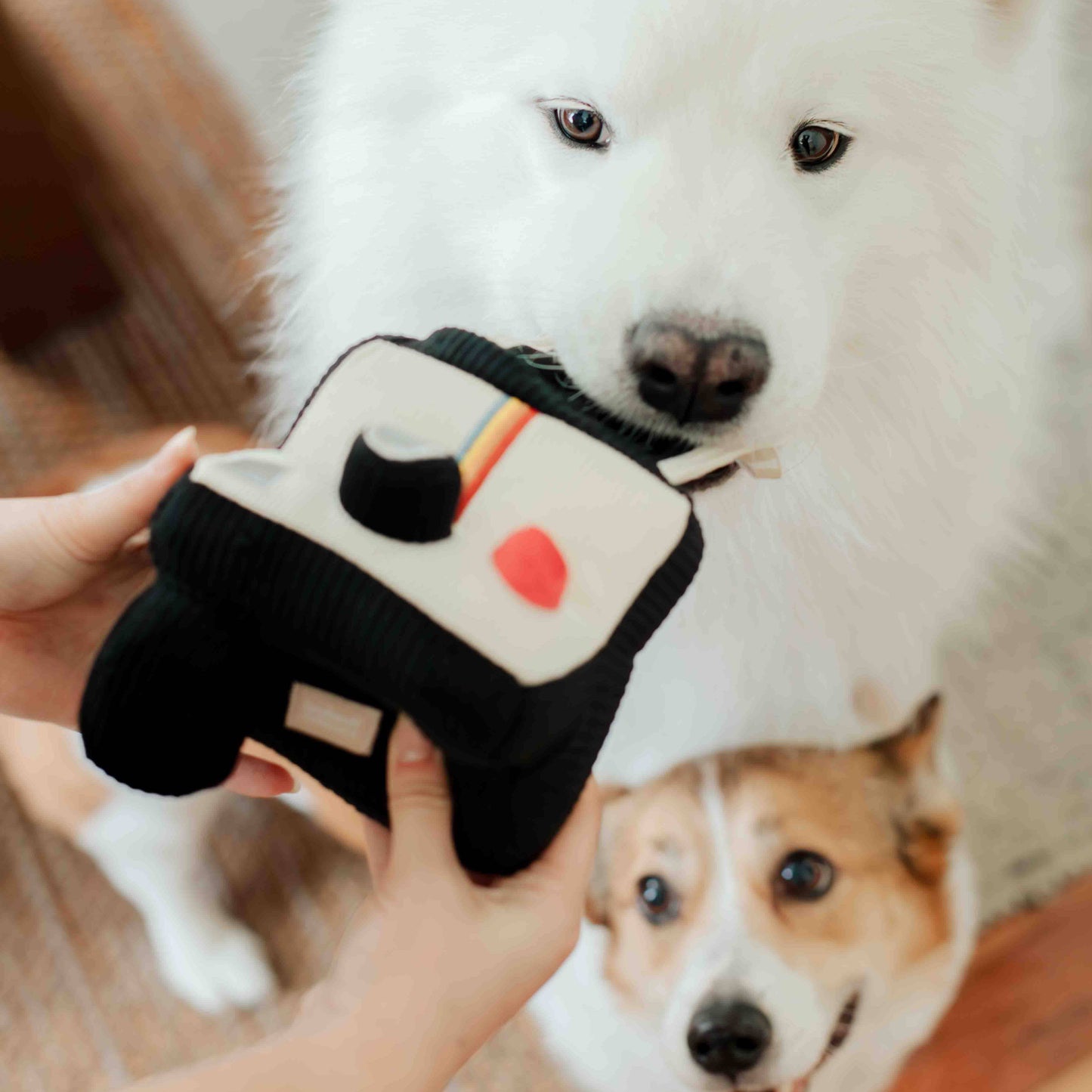 APPAREIL PHOTO INSTANTANÉ